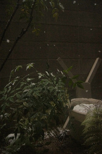 反省してシャッタースピード