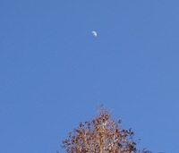 青天の月1