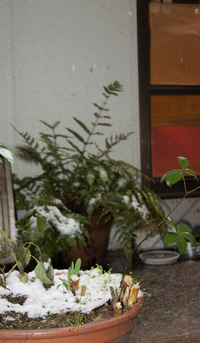 雪降るベランダ２