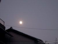 近所の月夜