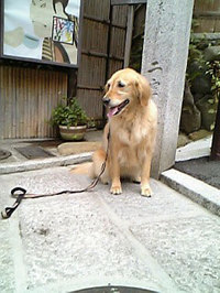 ニネンザカImage0045