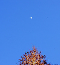 青天の月2