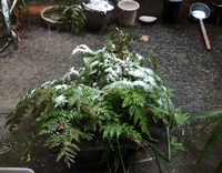 雪積もるベランダ２