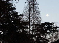17満月ですた。