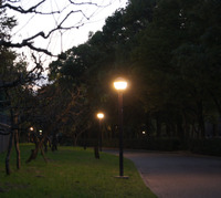 暮れる公園2
