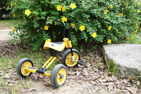 黄色い花と三輪車