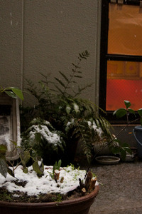 雪降るベランダ１